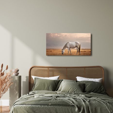 OBRAZ BÍLÝ KŮŇ V KRAJINĚ - OBRAZY KONĚ - OBRAZY
