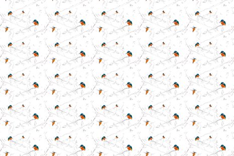 SAMOLEPÍCÍ TAPETA PTÁČCI V HOUŠTINĚ - SAMOLEPÍCÍ TAPETY - TAPETY