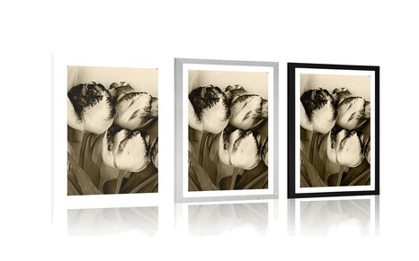 AFFICHE AVEC PASSE-PARTOUT – TULIPES PRINTANIÈRES EN SÉPIA - NOIR ET BLANC - AFFICHES