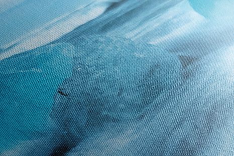 OBRAZ LEDOVÉ KRY - OBRAZY PŘÍRODY A KRAJINY - OBRAZY