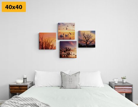 SET DI QUADRI – NATURA AFFASCINANTE - COLLEZIONI DI QUADRI - STAMPE E QUADRI