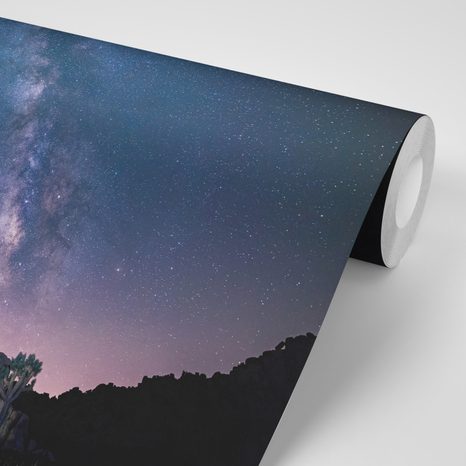 TAPETE STERNENHIMMEL ÜBER FELSEN - UNIVERSUM- UND STERNE-TAPETEN - TAPETEN