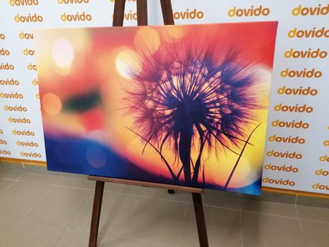 КАРТИНА НА ПЛАТНО – СИЯЕЩО ГЛУХАРЧЕ - КАРТИНИ С ЦВЕТЯ - КАРТИНИ