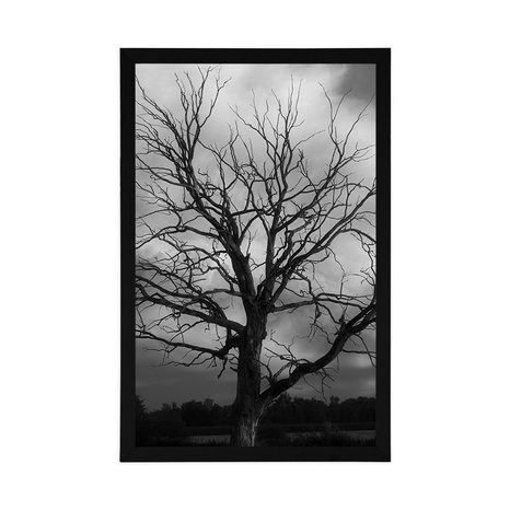 PLAGÁT ČIERNOBIELY STROM NA LÚKE - ČIERNOBIELE - PLAGÁTY