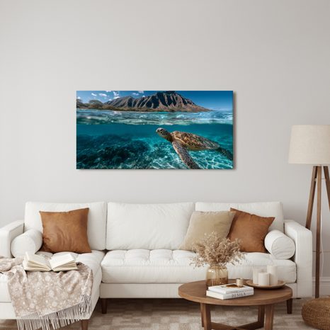 OBRAZ PODMOŘSKÝ SVĚT A ŽELVA - OBRAZY MOŘŠTÍ ŽIVOČICHOVÉ - OBRAZY