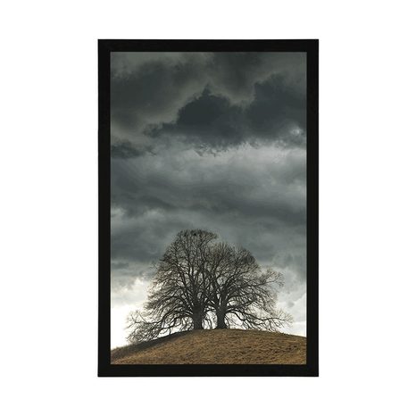 PLAKÁT OSAMĚLÉ STROMY - PŘÍRODA - PLAKÁTY