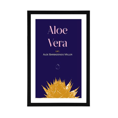 PLAKAT S PASPARTUOM I NATPISOM ALOE VERA - MOTIVI IZ NAŠE RADIONICE - PLAKATI