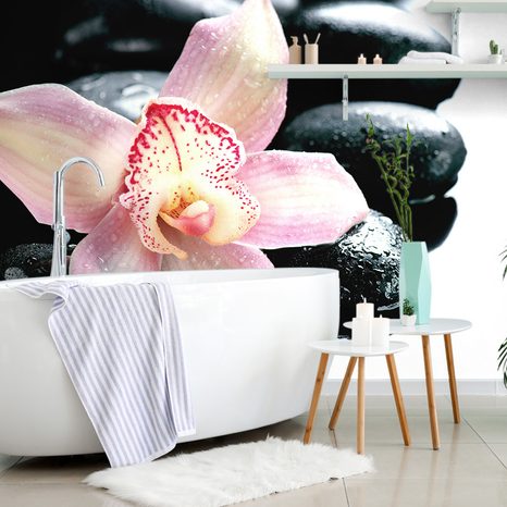 WALL MURAL EXOTIC ORCHID - WALLPAPERS FENG SHUI - WALLPAPERS