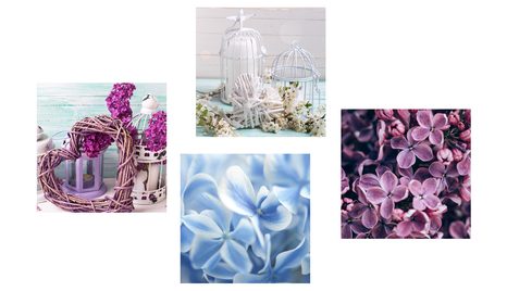 SET DI QUADRI – NATURA MORTA DI ERBA MEDICA E FIORI - COLLEZIONI DI QUADRI - STAMPE E QUADRI