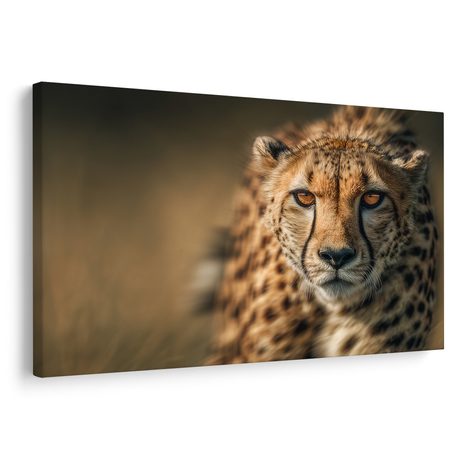 OBRAZ ELEGANCE AFRICKÉHO GEPARDA - OBRAZY LVI A TYGŘI - OBRAZY