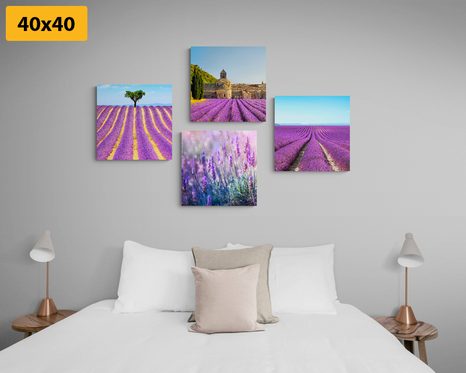 BILDER-SET LAVENDELFELD - BILDERSETS - BILDER