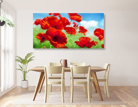 SLIKA MAK NA TRAVNIKU - SLIKE ROŽ - SLIKE