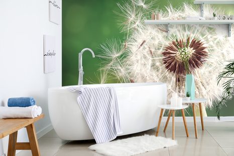 FOTOTAPETA NÁDHERNÝ DETAIL PAMPELIŠKY - TAPETY KVĚTINY - TAPETY