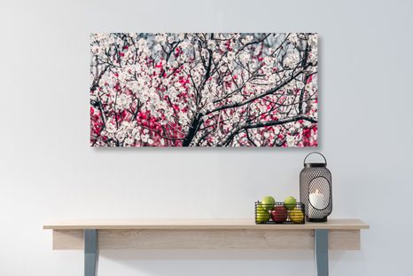 TABLEAU SUR TOILE – FLEURS DE PÊCHER - TABLEAUX DE FLEURS - TABLEAUX