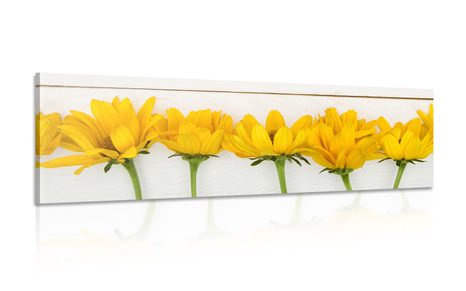 CANVAS PRINT BEAUTIFUL YELLOW FLOWERS - PICTURES FLOWERS - PICTURES