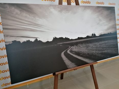 WANDBILD UNTERGEHENDE SONNE ÜBER DER LANDSCHAFT IN SCHWARZ-WEISS - SCHWARZ-WEISSE BILDER - BILDER