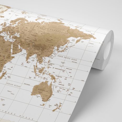 SELBSTKLEBENDE TAPETE WUNDERSCHÖNE VINTAGE-WELTKARTE MIT WEISSEM HINTERGRUND - SELBSTKLEBENDE TAPETEN - TAPETEN