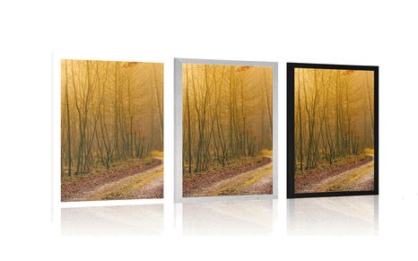 PLAKÁT CESTIČKA DO LESA - PŘÍRODA - PLAKÁTY