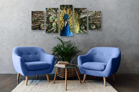 5 RÉSZES KÉP PÁVA SZÉPSÉGE - ÁLLATMINTÁS KÉPEK - KÉPEK