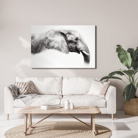 OBRAZ ELEGANTNÍ SLONÍ PROFIL - OBRAZY SLONI - OBRAZY
