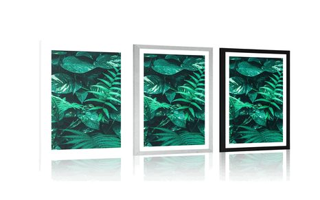 PLAKAT S PASPARTUOM SVJEŽI TROPSKI LISTOVI - PRIRODA - PLAKATI