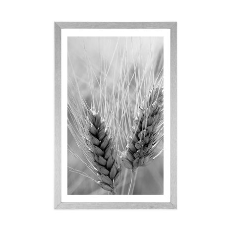 POSTER – CAMPO DI GRANO IN BIANCO E NERO - NERO E BIANCO - POSTER