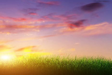 SAMOLEPÍCÍ TAPETA VÝCHOD SLUNCE NAD LOUKOU - SAMOLEPÍCÍ TAPETY - TAPETY