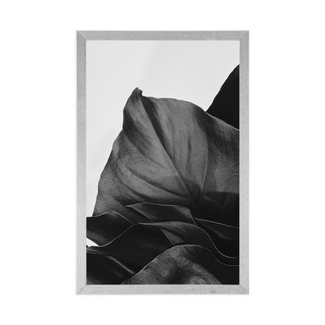 PLAKÁT OKOUZLUJÍCÍ DOPIS MONSTERY V ČERNOBÍLÉM PROVEDENÍ - KVĚTINY - PLAKÁTY