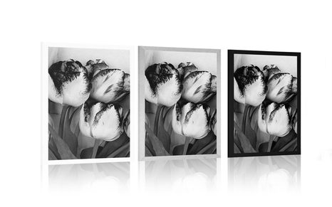 PLAKÁT JARNÍ TULIPÁNY V ČERNOBÍLÉM PROVEDENÍ - ČERNOBÍLÉ - PLAKÁTY