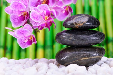 CARTA DA PARATI – GIARDINO ZEN GIAPPONESE - CARTA DA PARATI FENG SHUI - CARTA DA PARATI