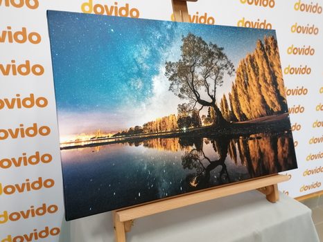 КАРТИНА НА ПЛАТНО – ДЪРВО ПОД ЗВЕЗДНОТО НЕБЕ - КАРТИНИ НА ПРИРОДАТА И ПЕЙЗАЖИ - КАРТИНИ