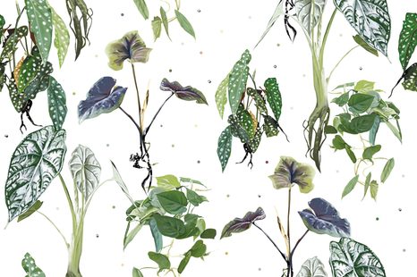 SAMOLEPÍCÍ TAPETA NÁDHERNÉ LISTY NA BÍLÉM POZADÍ - SAMOLEPÍCÍ TAPETY - TAPETY