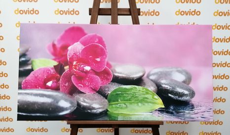 OBRAZ ORCHIDEJ S NÁDECHEM RELAXU - OBRAZY FENG SHUI - OBRAZY
