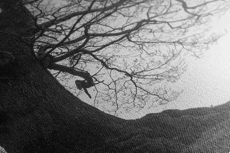 SLIKA SIMBIOZA DREVES V ČRNOBELI IZVEDBI - ČRNOBELE SLIKE - SLIKE