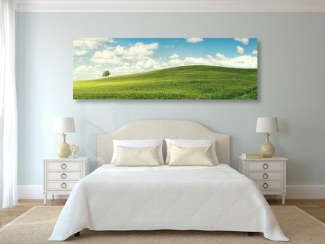 WANDBILD SCHÖNER TAG AUF DER WIESE - BILDER VON NATUR UND LANDSCHAFT - BILDER