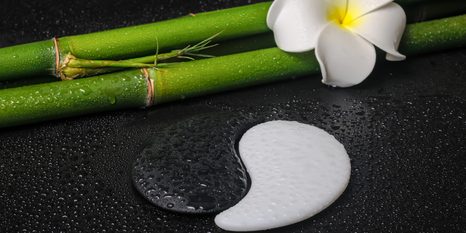 OBRAZ SPA ZÁTIŠÍ SE SYMBOLEM JIN A JANG - OBRAZY FENG SHUI - OBRAZY