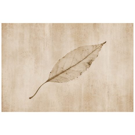 TAPETA MINIMALISTICKÝ BÉŽOVÝ LIST - TAPETY LISTY - TAPETY