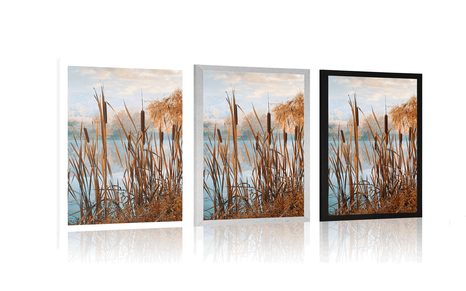 POSTER RIVER IN THE MIDDLE OF AUTUMN NATURE - NATURE - POSTERS