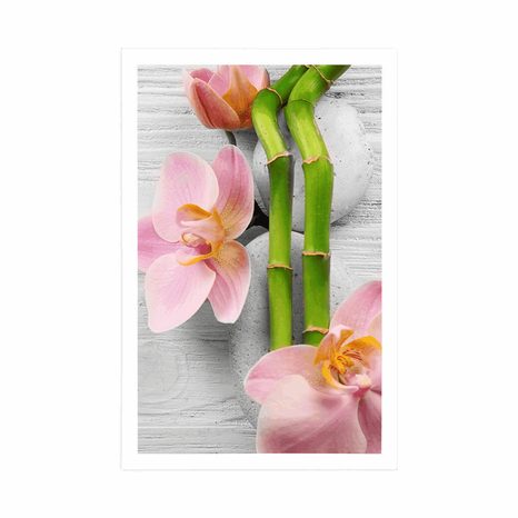 PLAKÁT NĚŽNÁ ZEN KOMPOZICE - FENG SHUI - PLAKÁTY