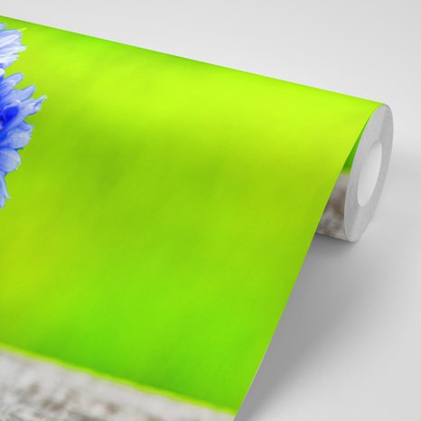 SAMOLEPÍCÍ FOTOTAPETA KVĚTINY V KBELÍKU - SAMOLEPÍCÍ TAPETY - TAPETY