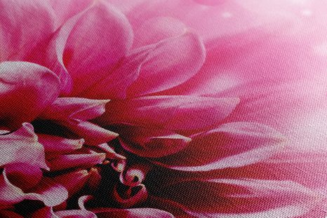 КАРТИНА НА ПЛАТНО – РОЗОВ ЦВЯТ - КАРТИНИ С ЦВЕТЯ - КАРТИНИ