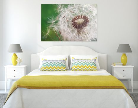 КАРТИНА НА ПЛАТНО – СЕМЕНА НА ГЛУХАРЧЕ - КАРТИНИ С ЦВЕТЯ - КАРТИНИ