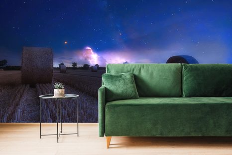 FOTOTAPETA SENO V MĚSÍČNÍM SVITU - TAPETY PŘÍRODA - TAPETY