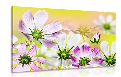 CANVAS PRINT SUMMER FLOWERS - PICTURES FLOWERS - PICTURES