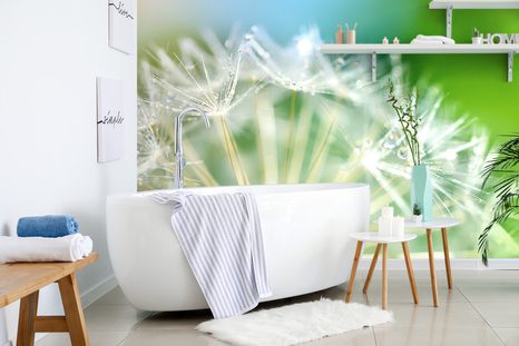 SAMOLEPÍCÍ TAPETA NÁDHERNÝ DETAIL PAMPELIŠKY - SAMOLEPÍCÍ TAPETY - TAPETY