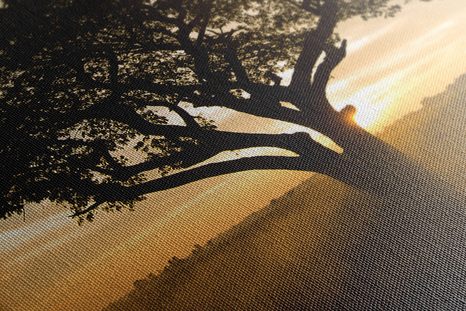 TABLOU ELEFANT LA RĂSĂRITUL DE SOARE - TABLOURI ANIMALE - TABLOURI