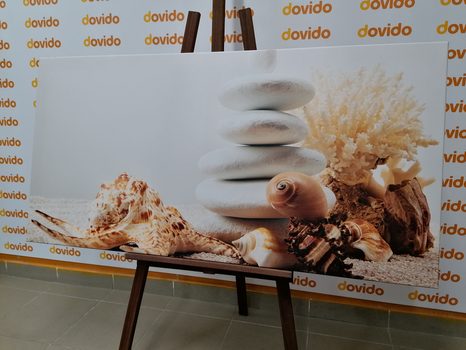 OBRAZ ZEN KAMENY S MUŠLEMI - OBRAZY - TOTÁLNÍ VÝPRODEJ 🔥