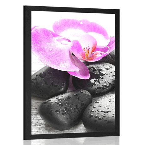 POSTER BEAUTIFUL INTERPLAY OF STONES AND ORCHIDS - FENG SHUI - POSTERS