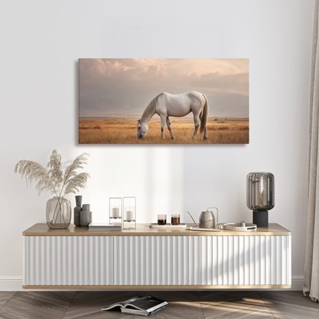 OBRAZ BÍLÝ KŮŇ V KRAJINĚ - OBRAZY KONĚ - OBRAZY