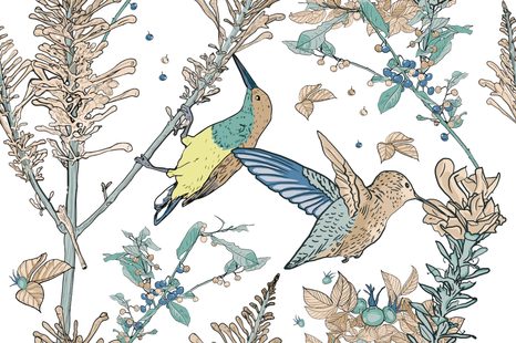 ΤΑΠΕΤΣΑΡΊΑ ΠΟΥΛΙΆ ΠΟΥ ΜΑΖΕΎΟΥΝ ΜΟΎΡΑ - ΕΚΛΕΚΤΉΣ ΠΟΙΌΤΗΤΑΣ ΚΑΙ ΡΕΤΡΌ ΤΑΠΕΤΣΑΡΊΑ - ΤΑΠΕΤΣΑΡΊΕΣ